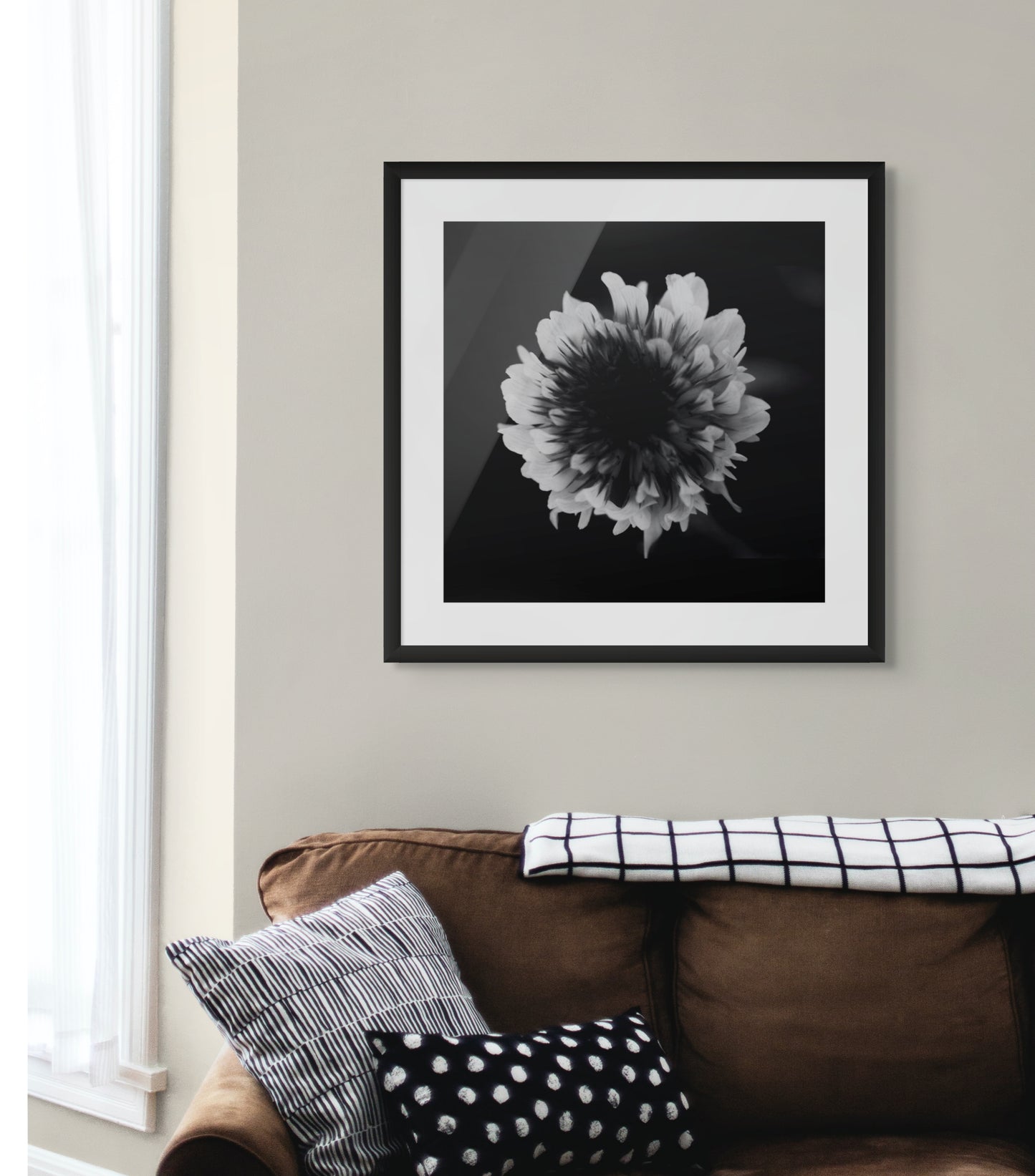 black & white petals