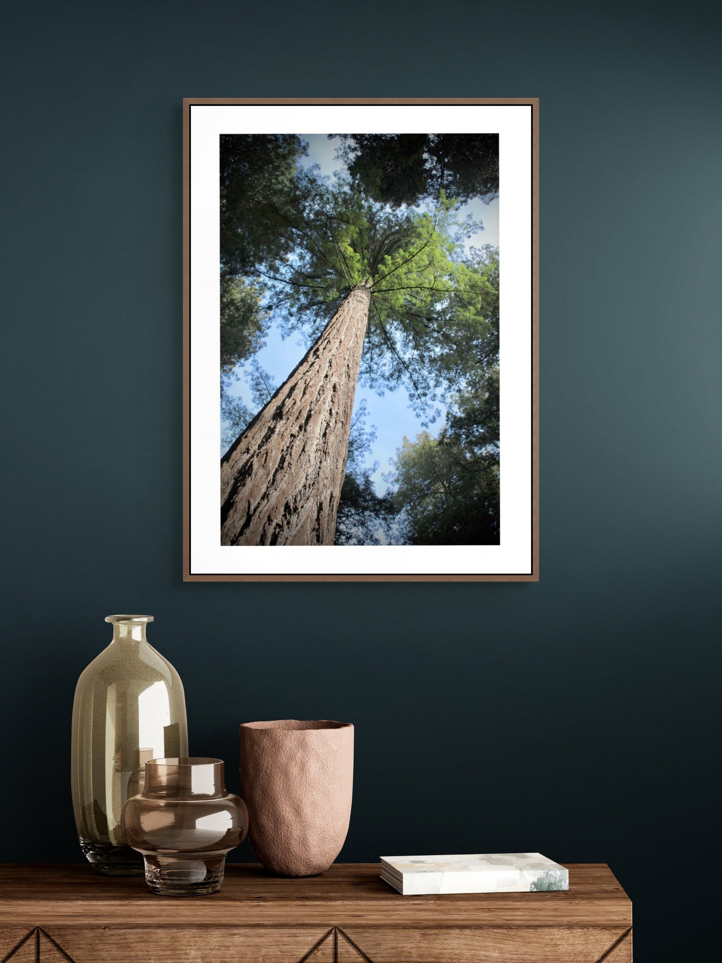 california trees