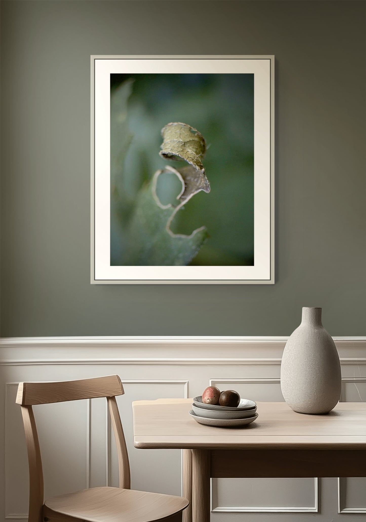curled leaf