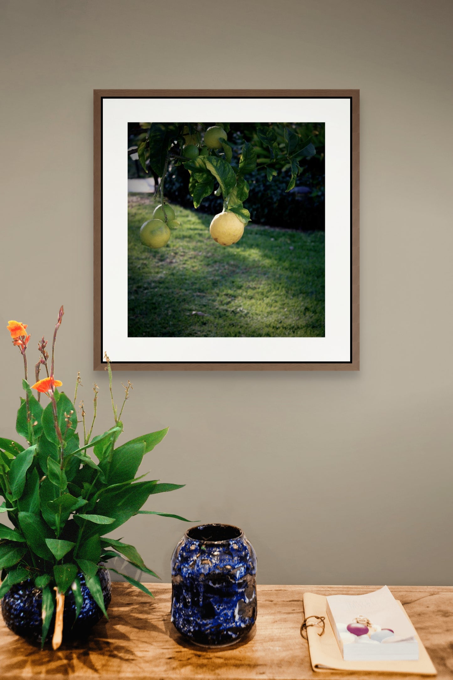 lemon tree