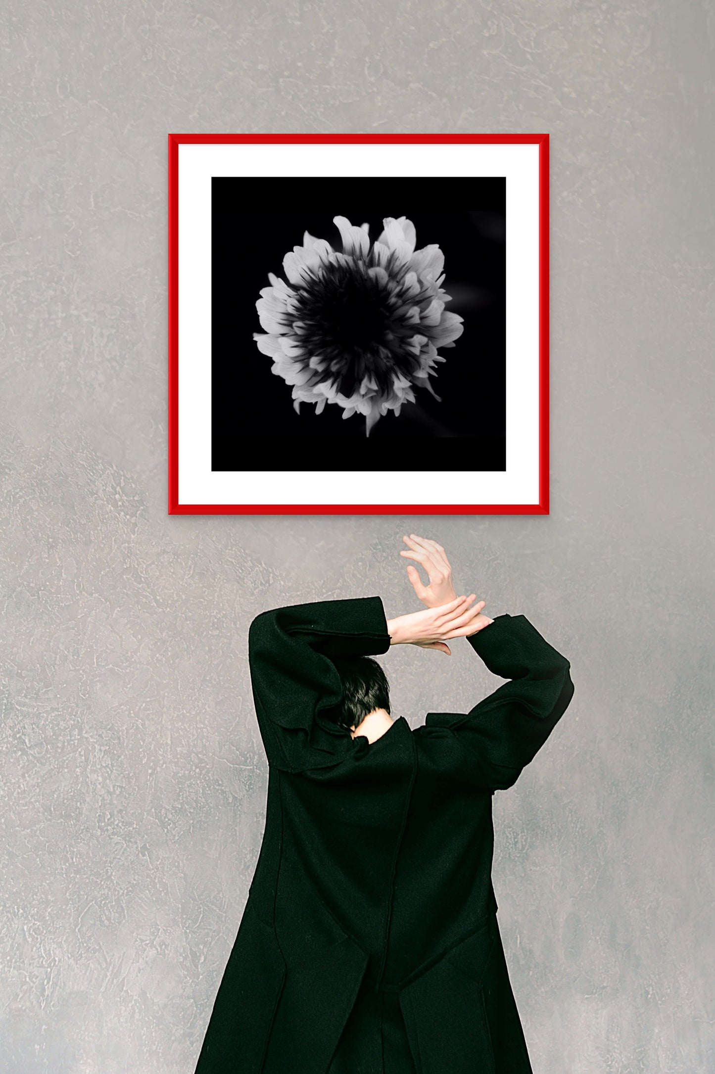 black & white petals
