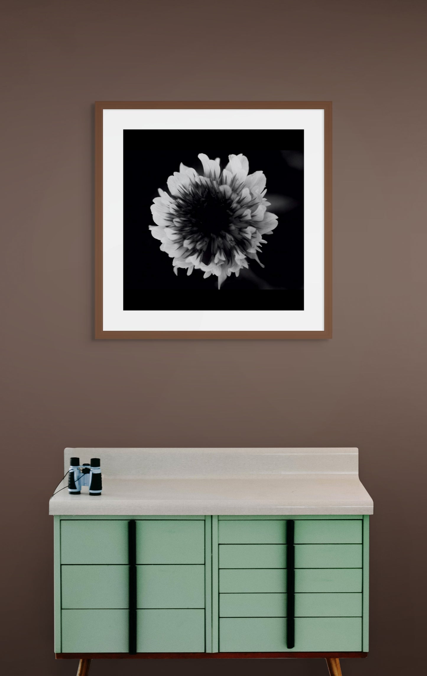 black & white petals